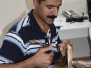 The Craftsmen