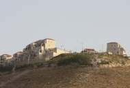 Settlement on former Arab orchard in foreground_746_497_100